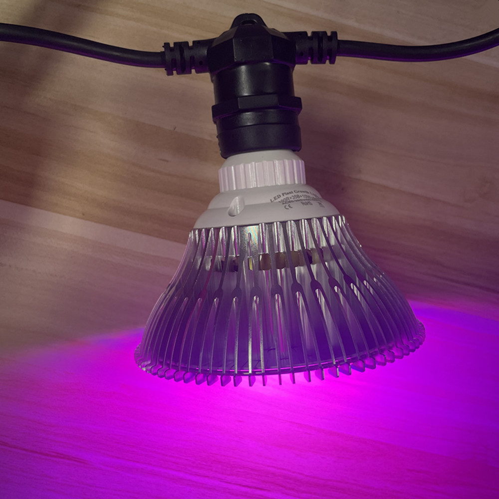 Kabel LED 10M Kelas Komersial  - Outdoor Power Adapter ulasan dan harga